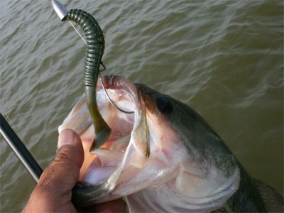 プロショップオオツカ・バスフィッシング用品専門サイト ブログ写真 2009/05/16