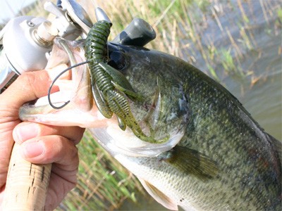 プロショップオオツカ・バスフィッシング用品専門サイト ブログ写真 2009/05/16