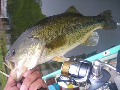 プロショップオオツカ・バスフィッシング用品専門サイト ブログ写真 2009/05/16