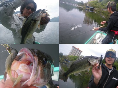 プロショップオオツカ・バスフィッシング用品専門サイト ブログ写真 2009/05/16