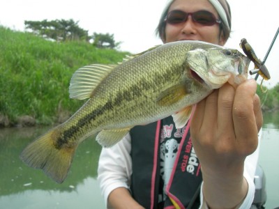 プロショップオオツカ・バスフィッシング用品専門サイト ブログ写真 2009/05/21