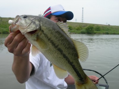 プロショップオオツカ・バスフィッシング用品専門サイト ブログ写真 2009/05/21